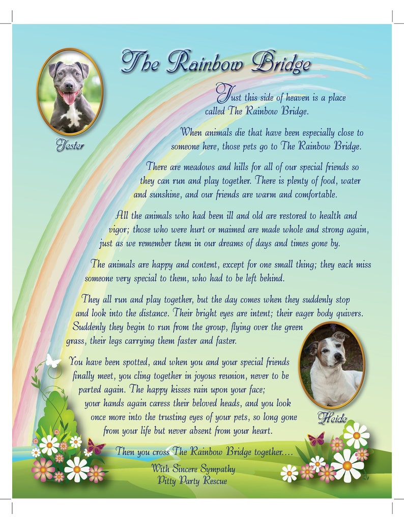 you print or we mail rainbow bridge digital download personalized digital download rainbow bridge poem with photo over the rainbow us pet portraits art collectibles lifepharmafze com