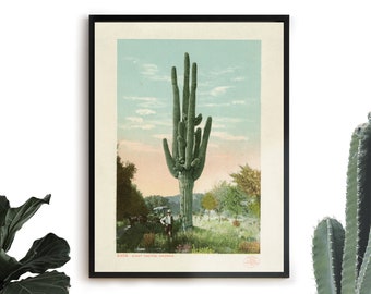 Cactus Polaroid - Vintage Botanical Print - Cactus Digital Print