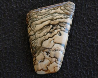 Rare Sophisticated Blue Biggs Jasper Designer Cabochon C159
