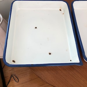 May include: Two white enamel baking pans with blue rims. The pans have brown rust spots on the bottom.