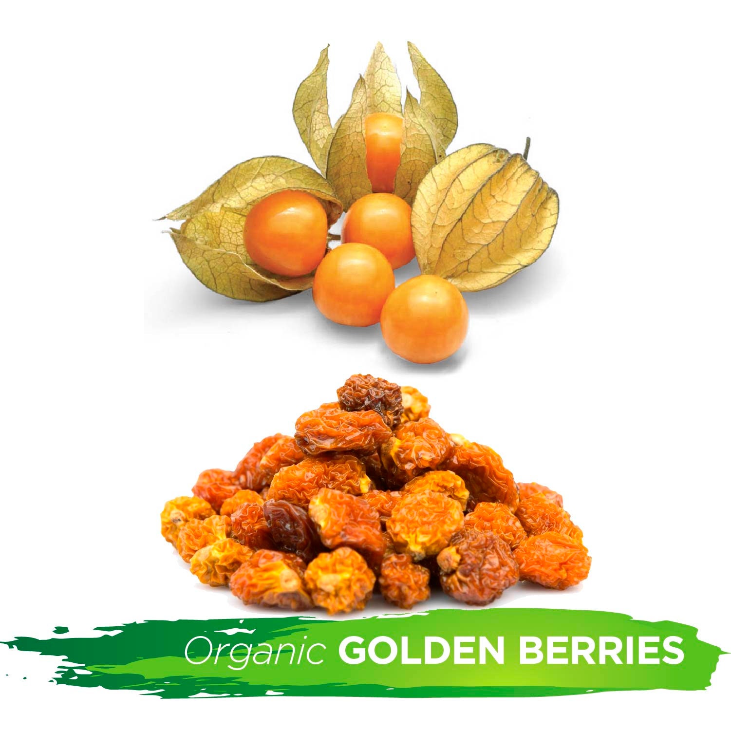 Organic Golden Berries 16oz by Alovitox Healthy Dried Fruit, Pure Incan