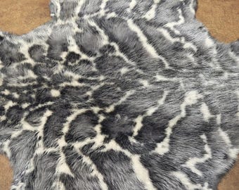 Tanned Beaver Pelt.  Dyed and Stenciled XL Size
