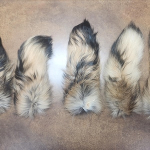 Finn Raccoon Fur Tails