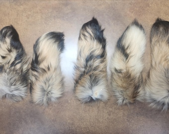 Finn Raccoon Fur Tails