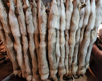 Tanned Heavy Pale Coyote Pelt /(Size 2XL)