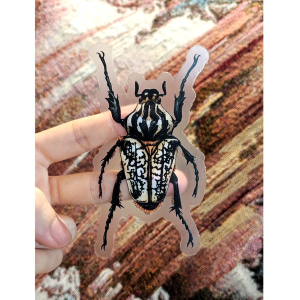 Goliath - Clear matte vinyl sticker - beetle, insect, bug, decor, laptop, drawing, illustration, decal, transparent, entomology