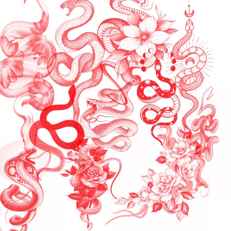 65 Snake Procreate Brushes Tattoo Procreate Brush Set Etsy