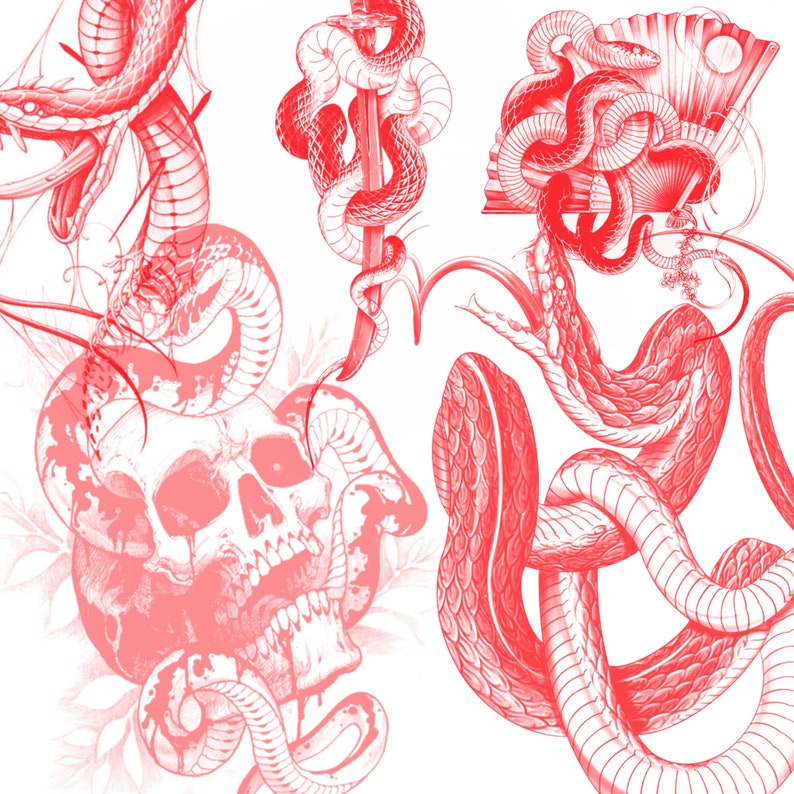 65 Snake Procreate Brushes Tattoo Procreate Brush Set Etsy