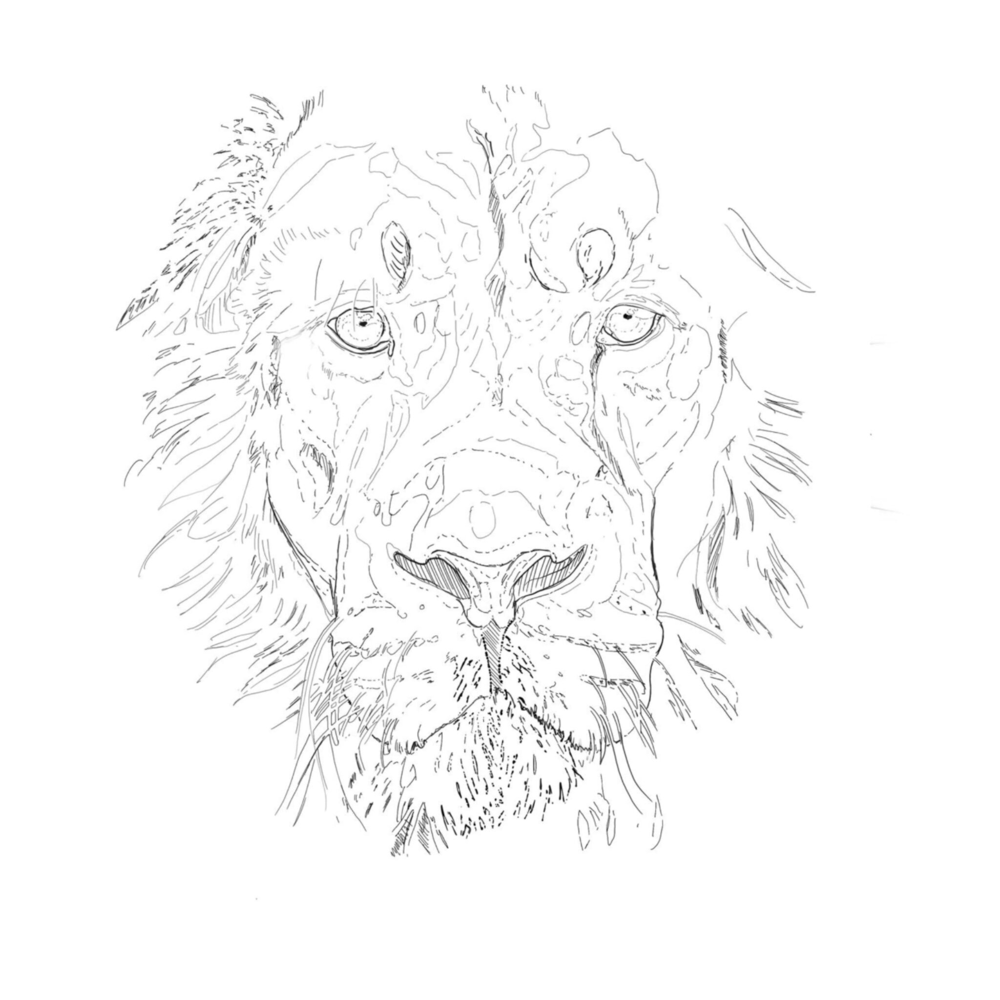 15 of the most popular animal tattoo stencils procreate | Etsy