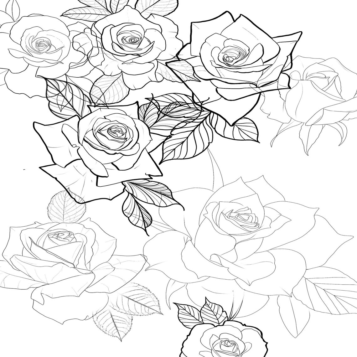 40 Hand Drawn Roses Procreate Brush Set 60 Brushes Total Etsy