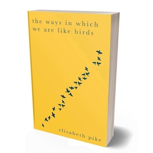 The Ways in Which We Are Like Birds by Elisabeth Pike, poetry book, poem gift idea, motherhood poetry gift idea, mindful gift.