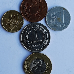 World Coin Lot – 5 Coins from Ireland, Lithuania & Poland – Diverse Currency Sampler