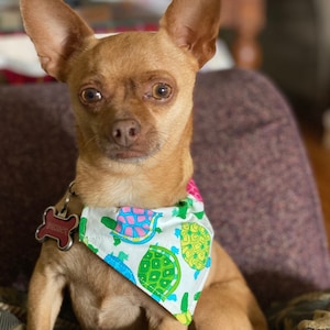 Doggie Bandana - XS to XL