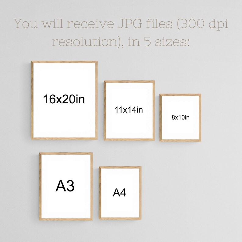 May include: Five different sizes of framed prints, including 16x20 inches, 11x14 inches, 8x10 inches, A3, and A4.
