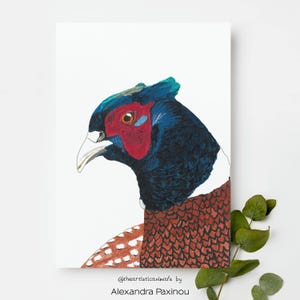 Pheasant print of original painting, Game bird wall art, Country chic wall decor, British bird art, Woodland wildlife decor, A4, 8x10