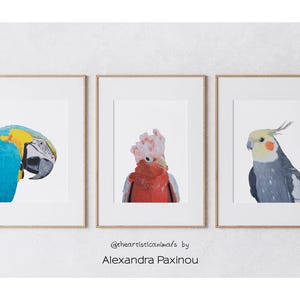 Conjunto de 3 artes de parede de papagaio, estampas de arara, calopsita e cacatua, decoração colorida para berçário de pássaros, estampa de animal da selva tropical para quarto infantil