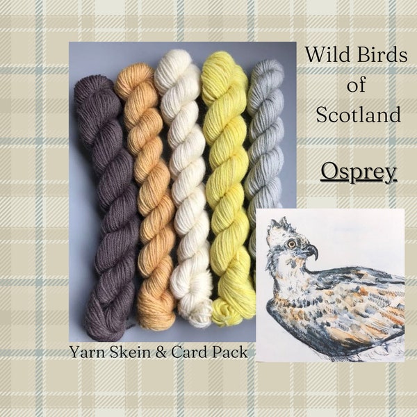 Osprey - Wild Birds of Scotland - Naturally Dyed Yarn Skeins +  Original Wildlife Art card - 100% British Blue Faced Leicester wool