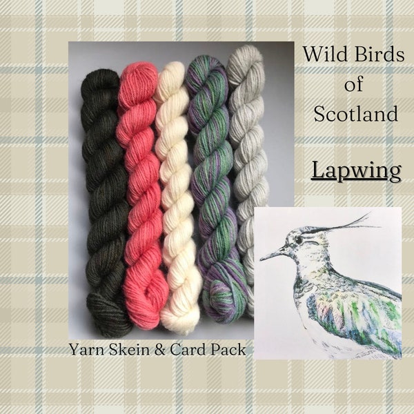 Lapwing - Wild Birds of Scotland - Naturally Dyed Yarn Skeins +  Original Wildlife Art card - 100% British Blue Faced Leicester wool