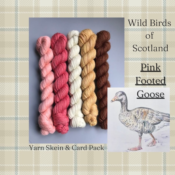 Pink Footed Goose - Wild Birds of Scotland - Naturally Dyed Yarn Skeins +Original Wildlife Art card - 100% British Blue Faced Leicester wool