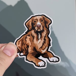 Nova Scotia Duck Tolling Retriever - Sticker