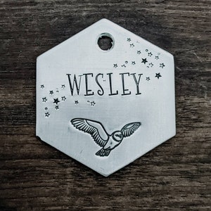 May include: Hexagonal silver pet tag featuring the name "WESLEY" in black, an owl illustration, and star details. The tag has a hole for attachment. The background is a dark wood grain.