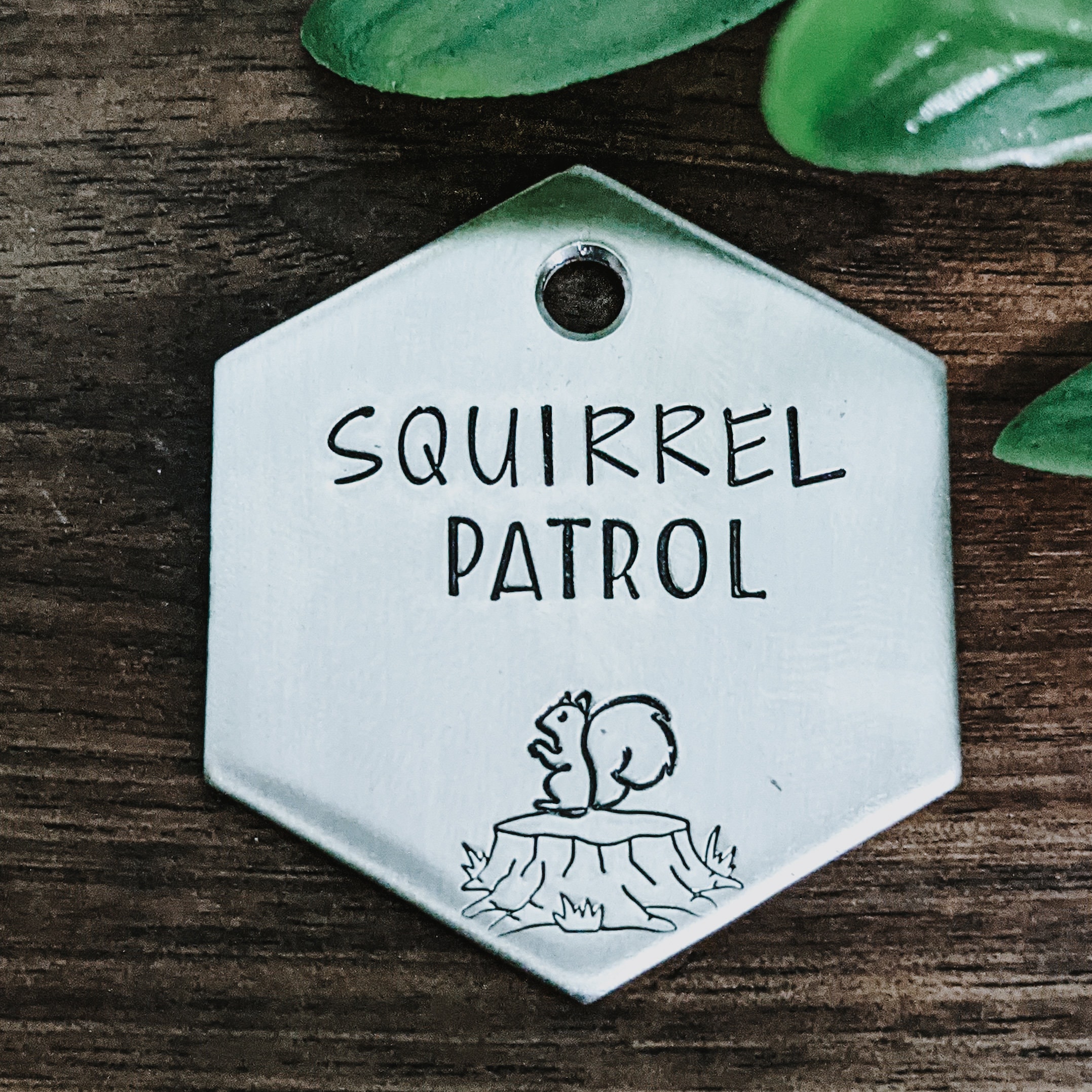 Squirrel Patrol Patch, Squirrel Patrol Dog Tag, Dog Bandana Patches, D –  Stitch Wicked Shop