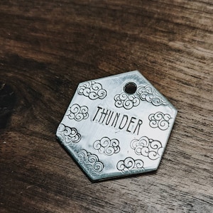 May include: A silver hexagonal pet tag with a cloud design and the name "THUNDER" engraved on it.