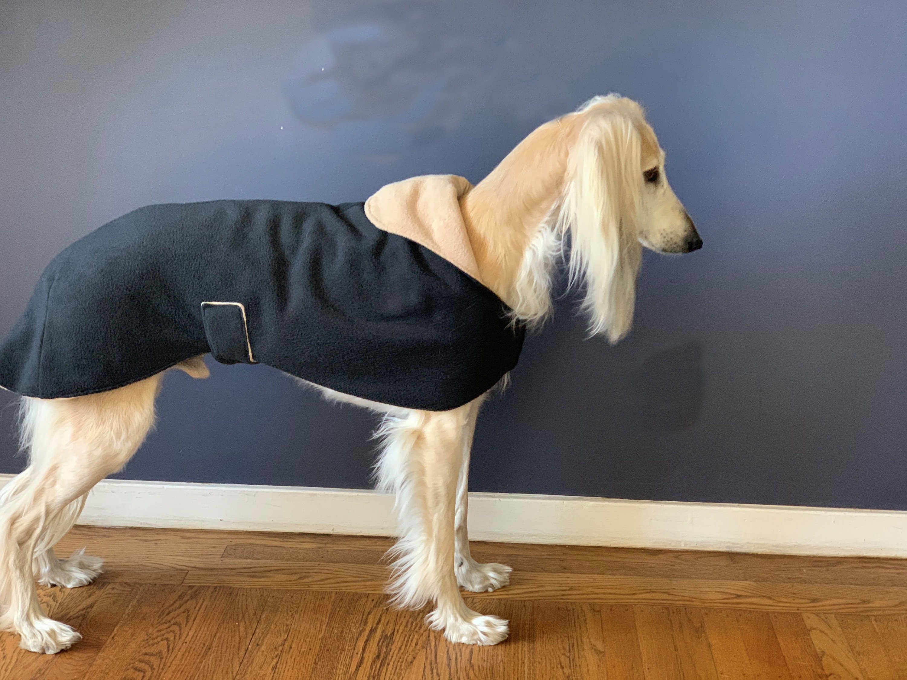 Fleece Saluki Hound Coat Etsy