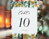 Citrus Wedding Table Number Card Template, Dinner Table Decor Printable, Editable (Digital Download), TC34