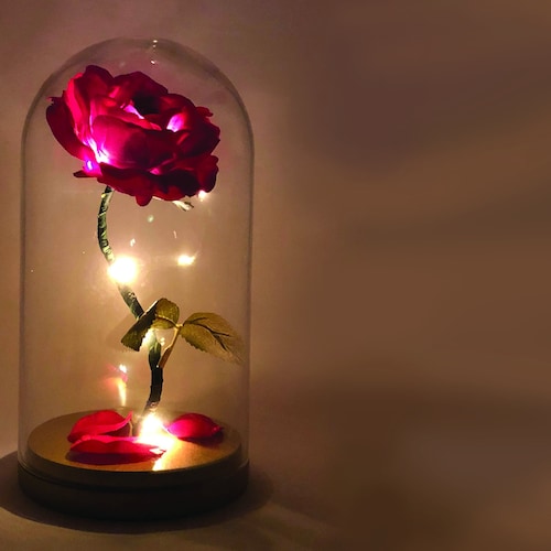 Enchanted Rose Beauty And The Beast Rose Anniversary Etsy