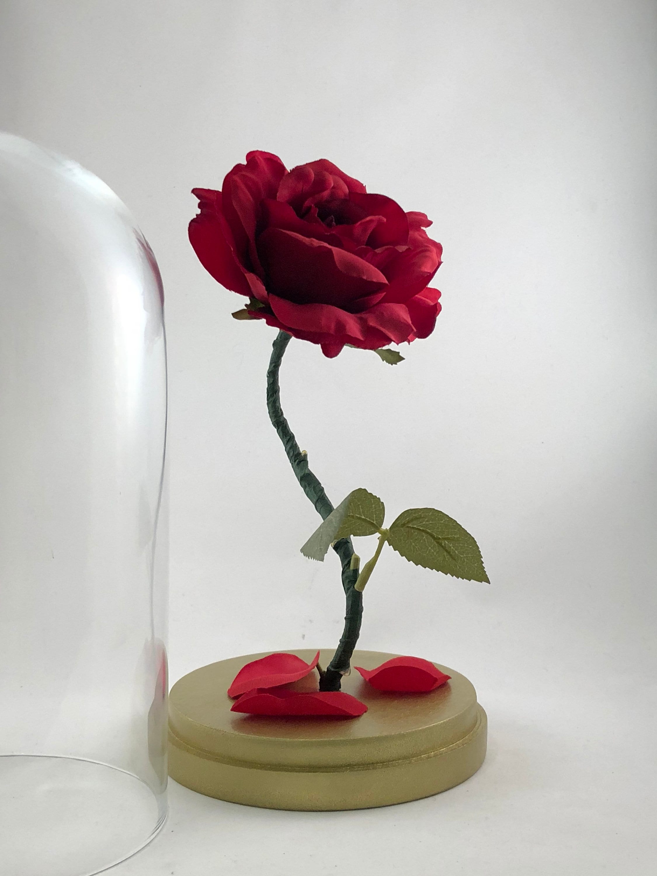 Birthday Gift Fresh Flowers Anniversary Day Gift Preserved Rose Beauty ad The Beast Rose for Girlfriend Thanksgiving Gifts Christmas Gifts New Year Gifts Handmade Enchanted Rose Forever Rose