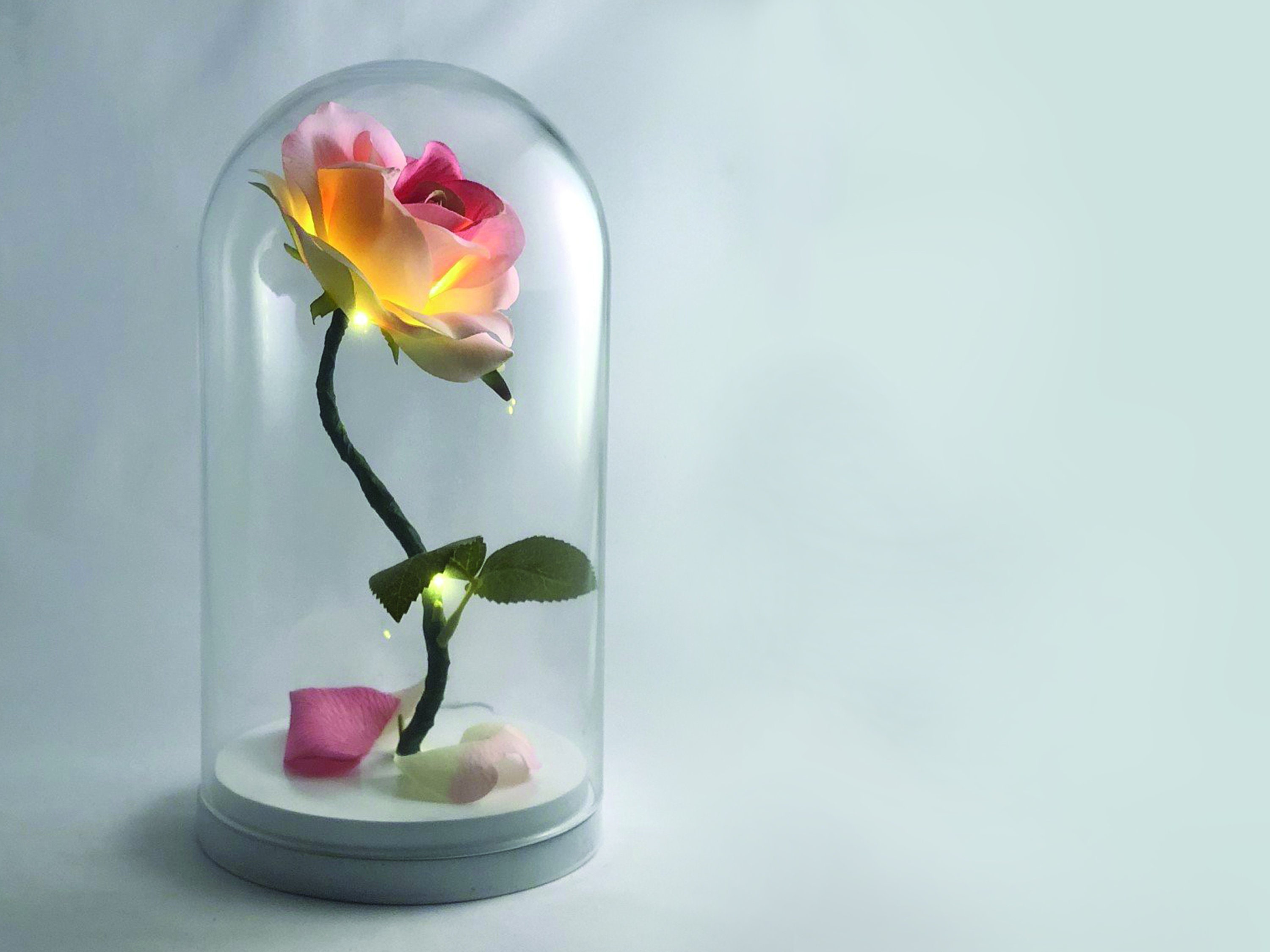 Enchanted Rose Flower Lamp Beauty And The Beast In 50