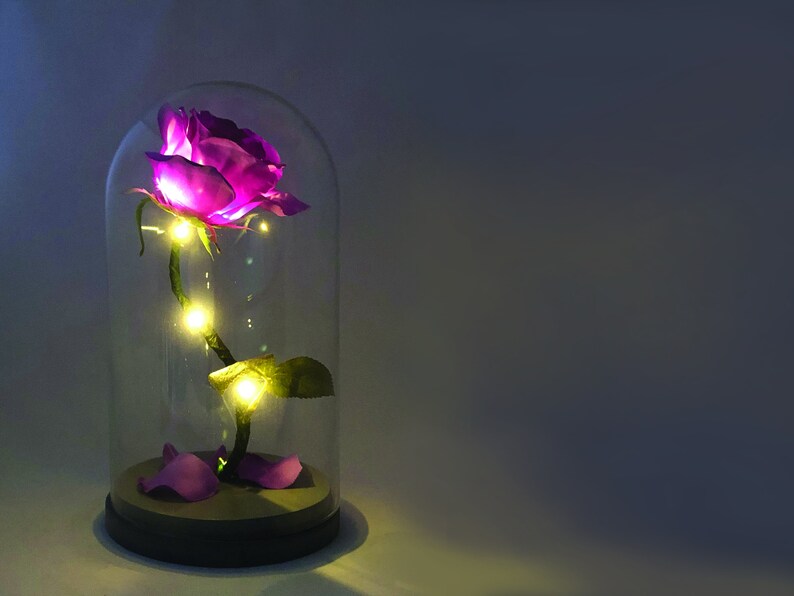 Enchanted Rose Beauty And The Beast In Image 0