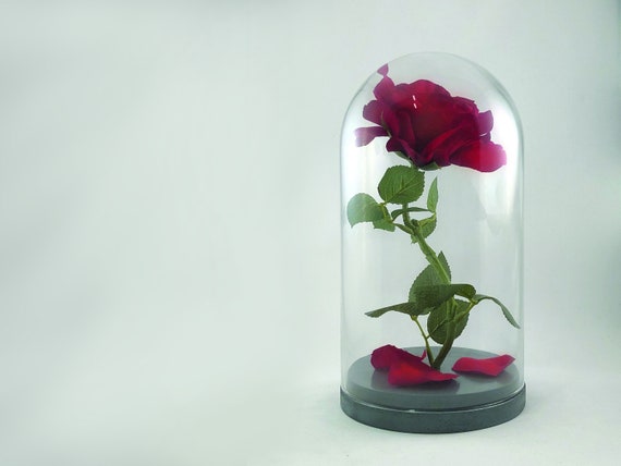 Beauty And The Beast Rose Enchanted Rose Rose In Glass Dome Etsy Beauty And The Beast Rose Enchanted Rose Rose In Glass Dome Etsy