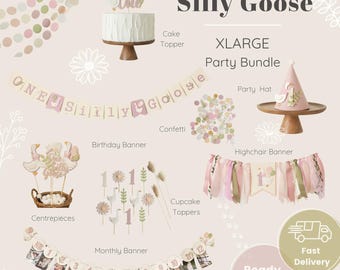 One Silly Goose 1st Birthday Bundle - Girl Party Decorations RTS
