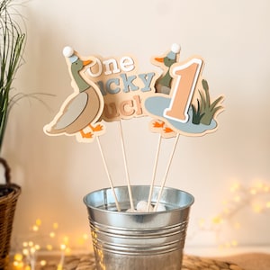 One Lucky Duck 1st Birthday Party Decorations - Mallard Duck Theme Supplies Kit