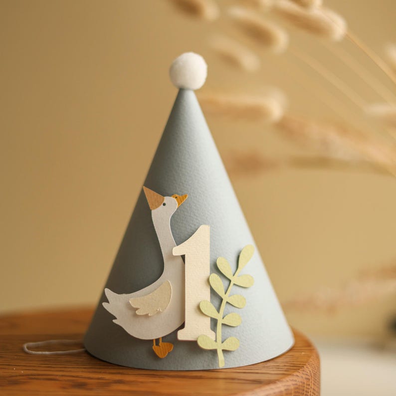 One Silly Goose Birthday Hat - Boy 1st Birthday Party Decorations