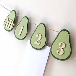 Avocado Photo Banner, Holy Guacamole Party, Avocado 1st Birthday Decorations