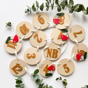 Mushroom Milestone Banner, Toadstool Party, Fairy 1st Birthday, One Fungi