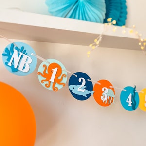 Under the Sea Milestone Banner, Ocean 1st Birthday, 12 Month Photo Banner