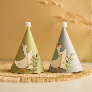 One Silly Goose Birthday Hat - Boy 1st Birthday Party Decorations