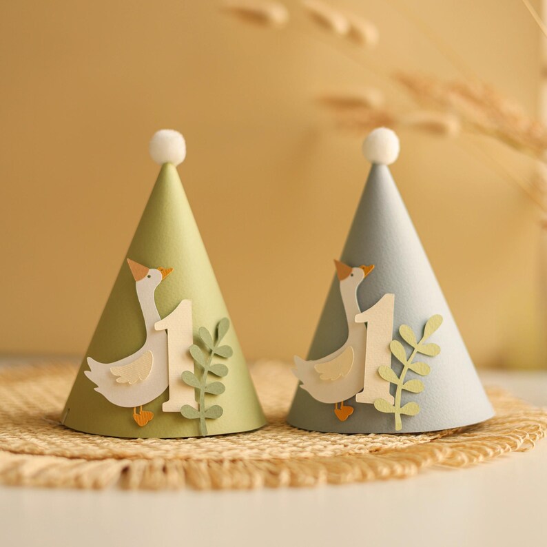 One Silly Goose Birthday Hat - Boy 1st Birthday Party Decorations
