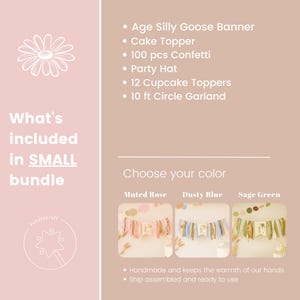 One Silly Goose 1st Birthday Bundle, Vintage Goose Party Decorations