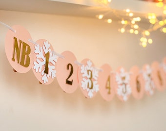 Winter Onederland 12 Month Photo Banner Snowflake Girl 1st Birthday Decorations Photo by Month 1st Year Banner One to 12 Months Banner