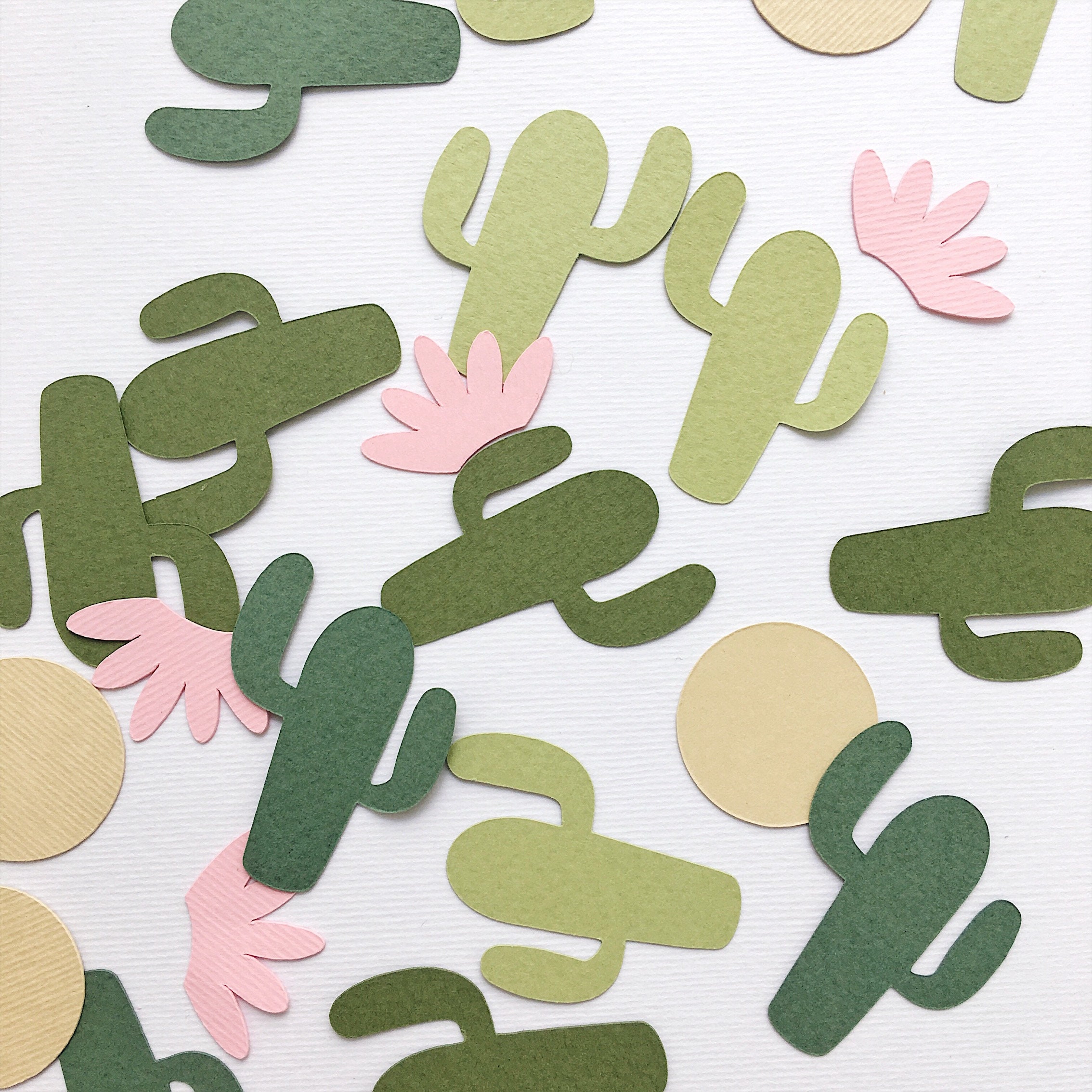 Cactus Paper Confetti Fiesta Theme Baby Shower Decor Cactus Etsy