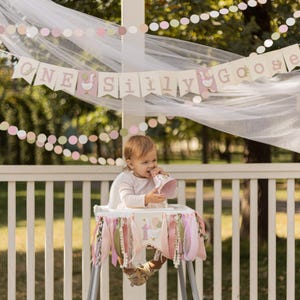 One Silly Goose Party Hat, Pink Goose 1st Birthday Party Decorations