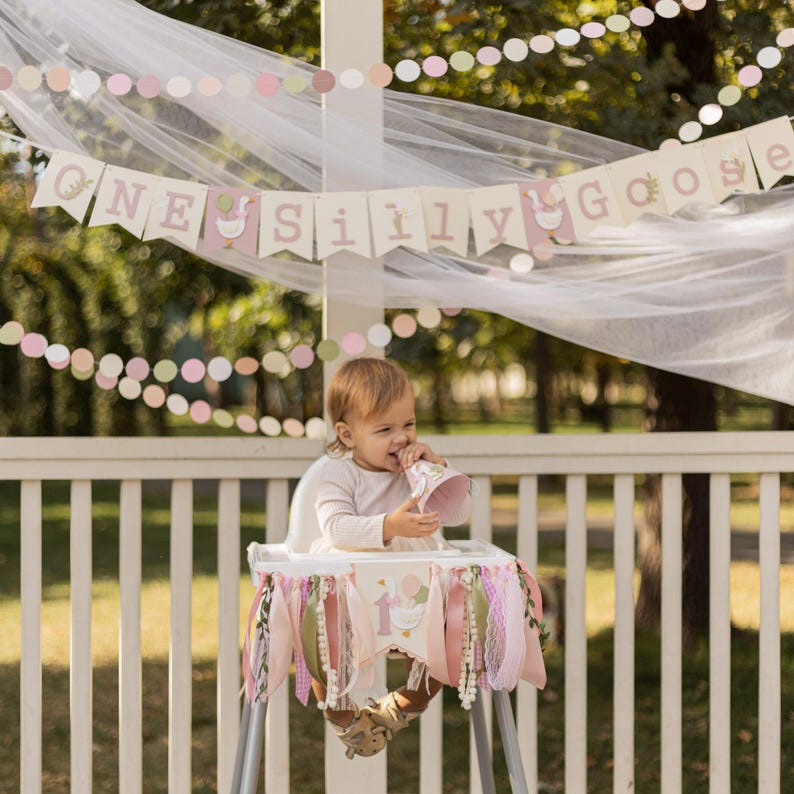 One Silly Goose Party Hat, Pink Goose 1st Birthday Party Decorations