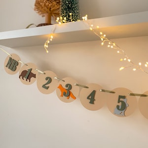 Woodland Fotobanner, Waldtiere 1.Geburtstag, 12 Monatsbanner