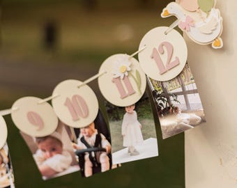 Banner fotográfico mensual de One Silly Goose - Fotos del primer aniversario