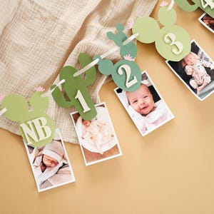 Banner fotografico con cactus, decorazioni per il primo compleanno con una coppia di spinosi